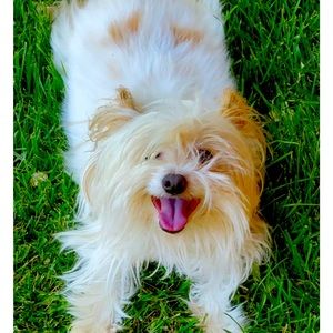 Meet your Posher, Nilka